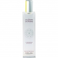 Citronnier en Sicile